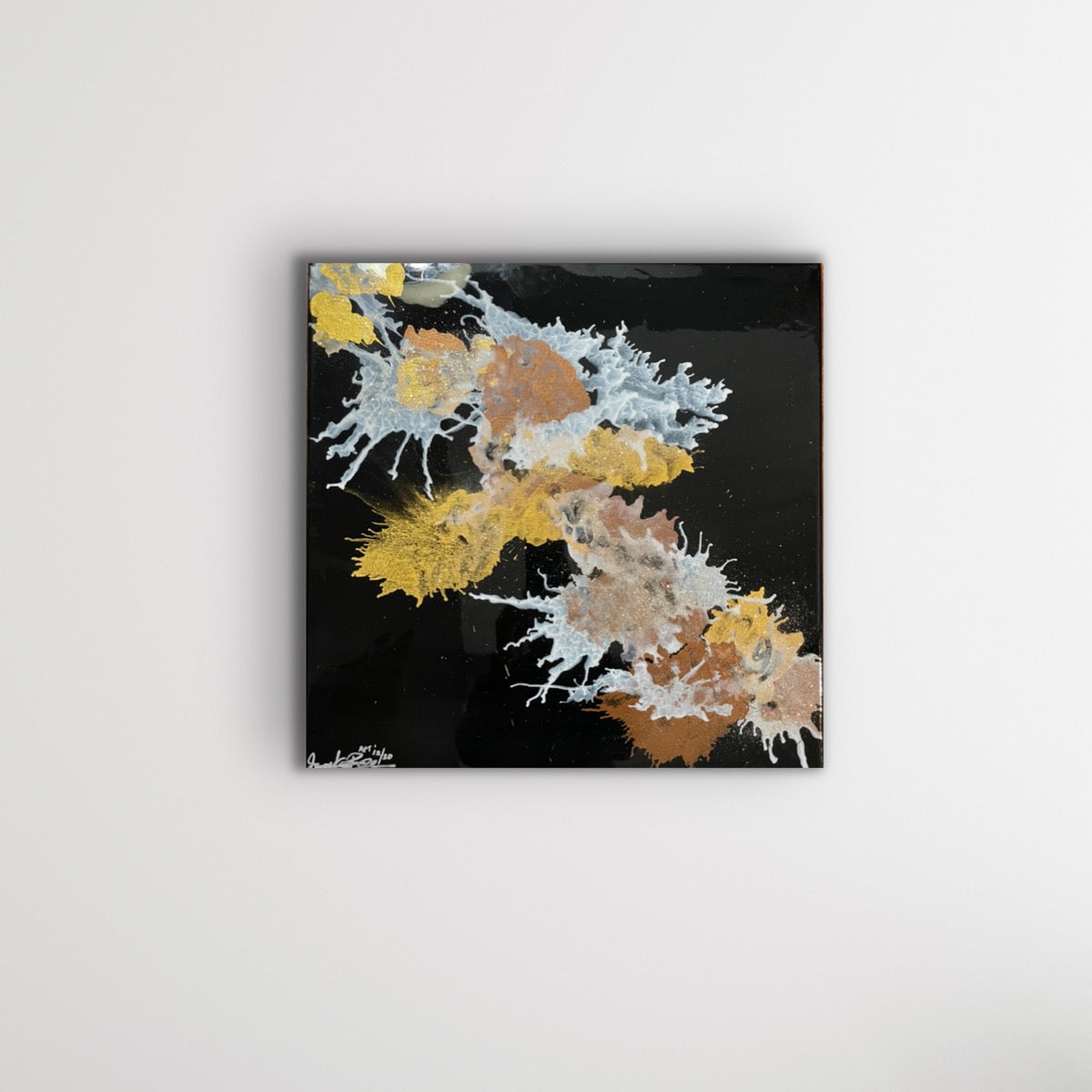 Creative Series Collection #1